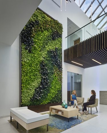 The Plantologist Living Green Wall